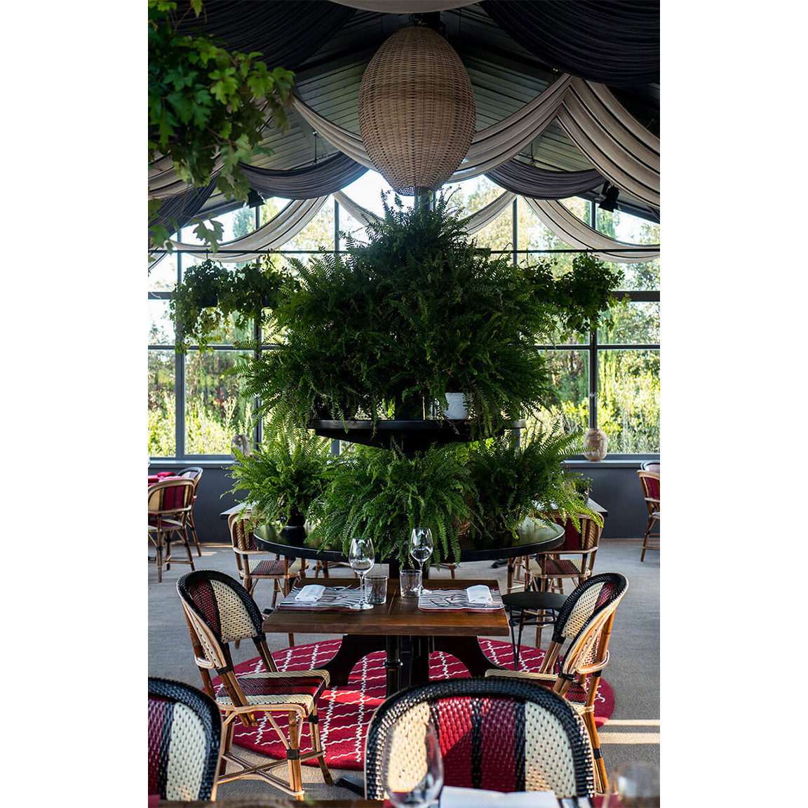 big plants with ceiling lamp inside dining room