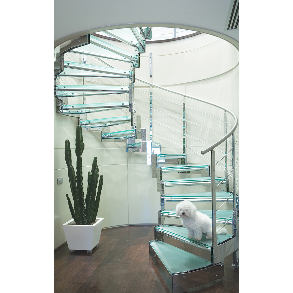 white dog sitting on spiral stairs